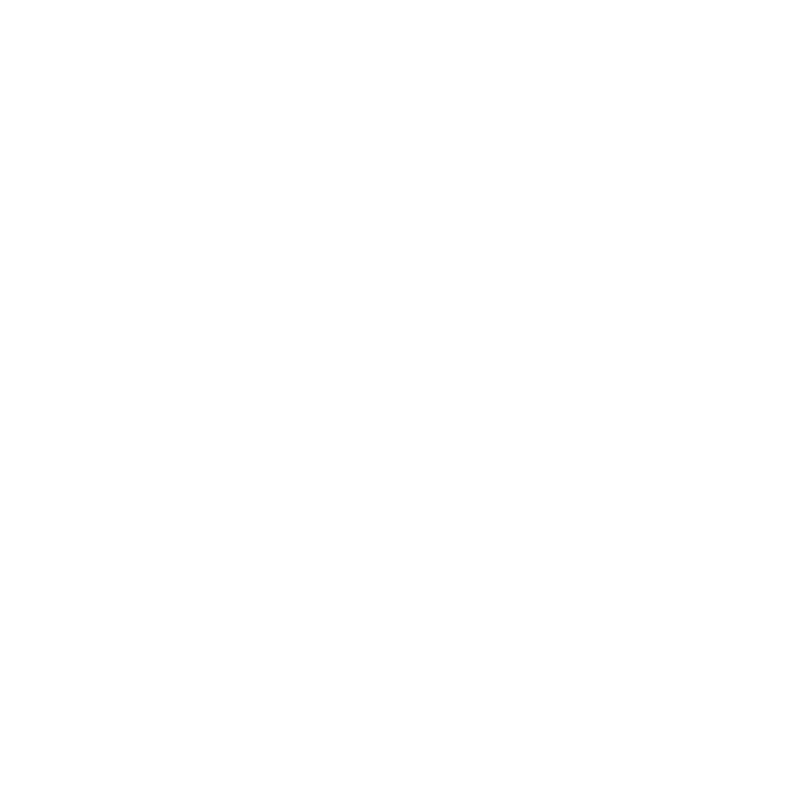 The Shore Group